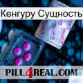 Кенгуру Сущность 37